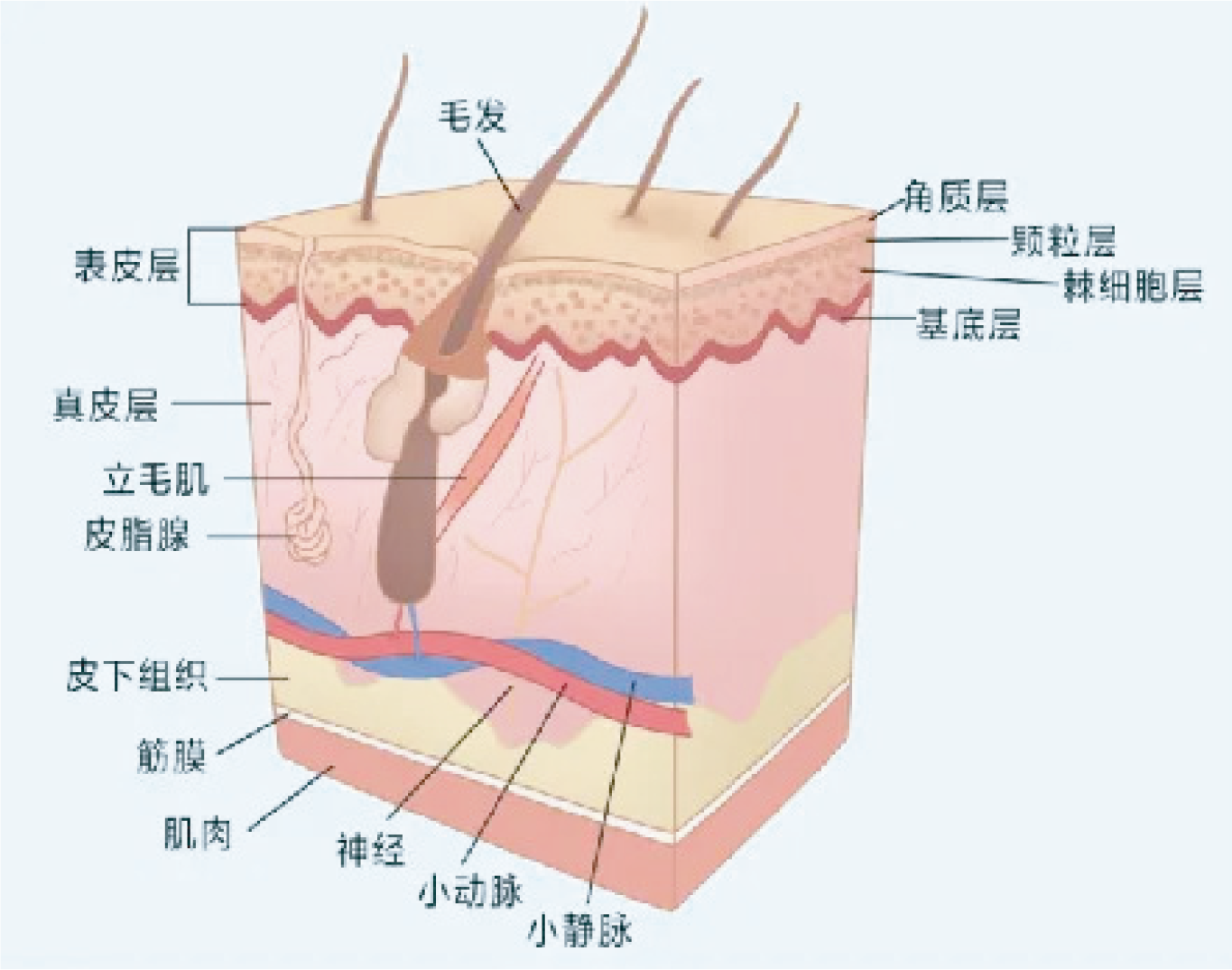 圖層 22.png