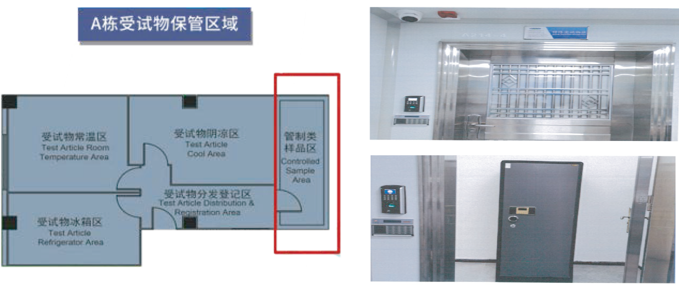 圖層 22.png