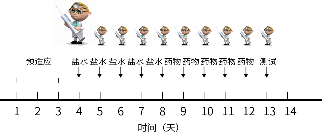 組 1``.png