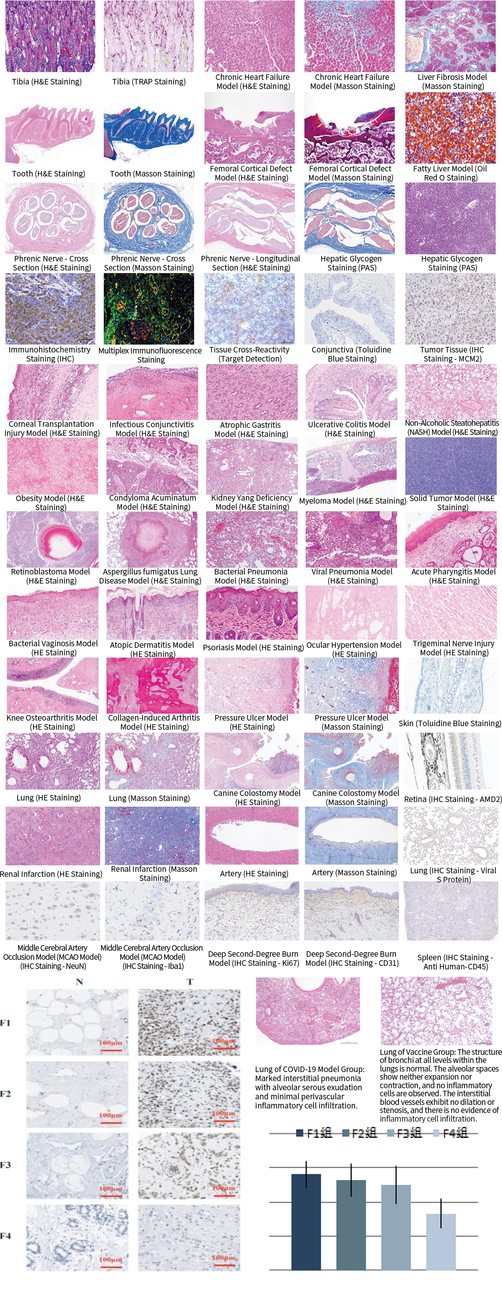 組 25.png