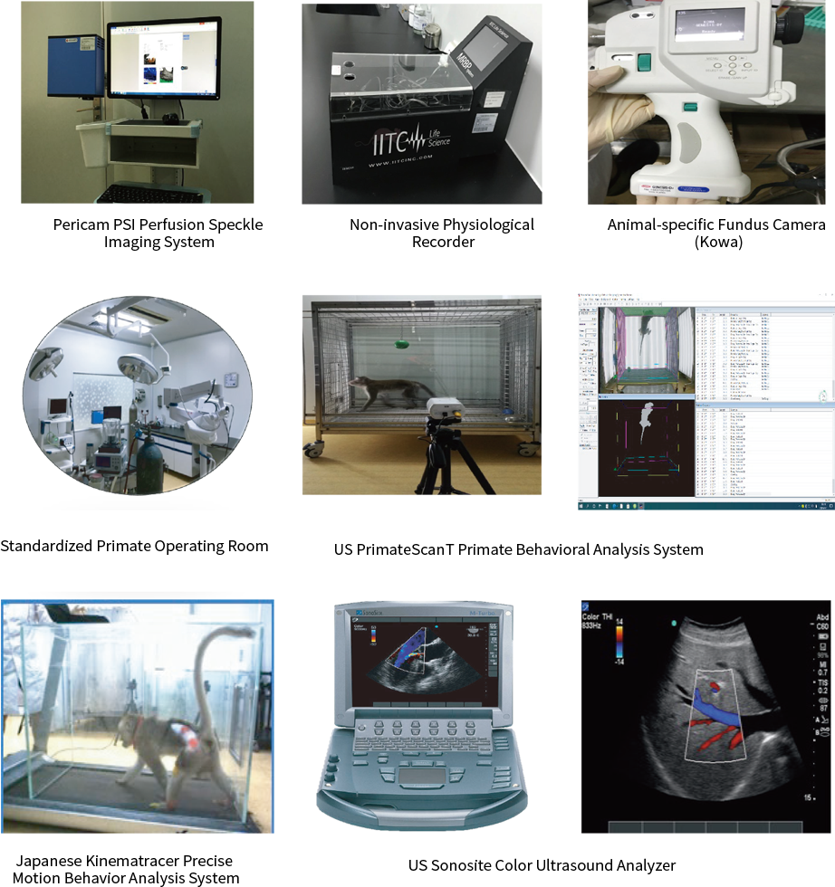 組 23`.png