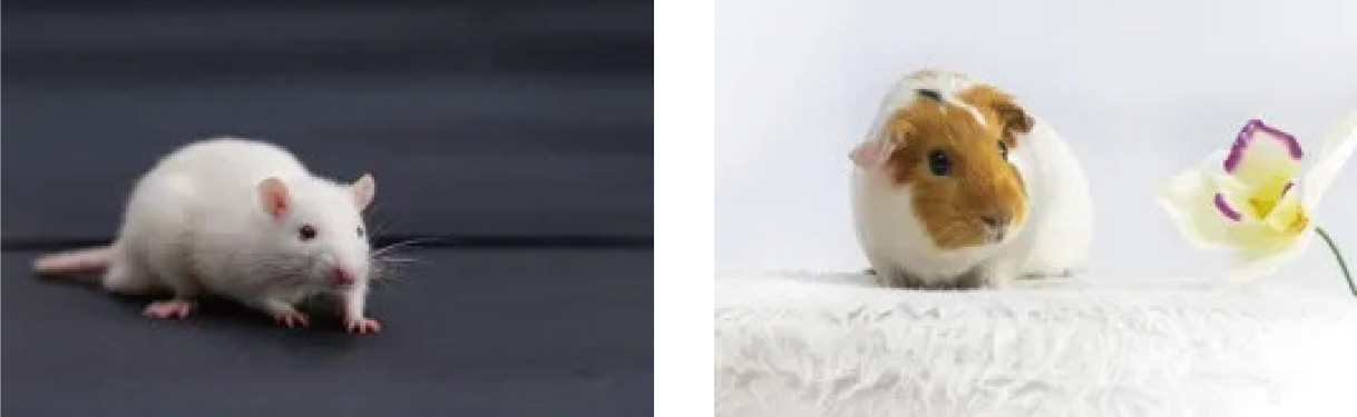 圖層 6.jpg