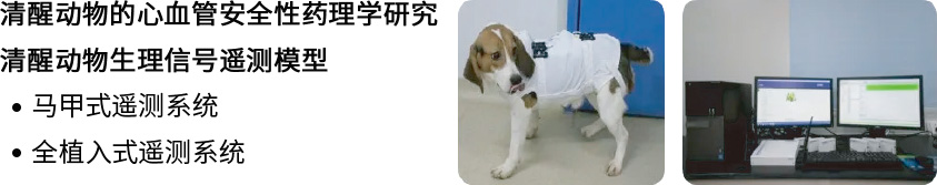 組 7.jpg