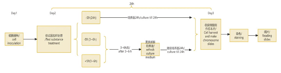 圖層 19.jpg